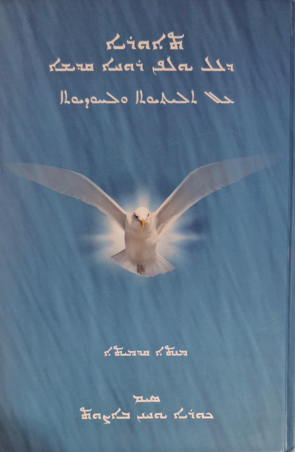 Teworiya d'al yulfon ruho qadisho, d'al tlithoyutho walhudoyutho deel I-Dogmatic books-Mor Ephrem-Mor Ephrem Bookshop