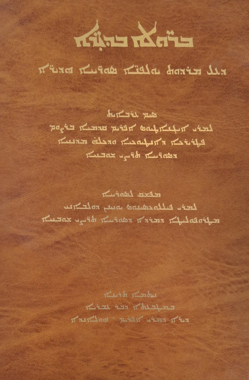 BERULE BDHIRE Historie des Sciences et de la literature Syriaque (AR)